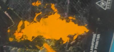 1751218058551.jpg